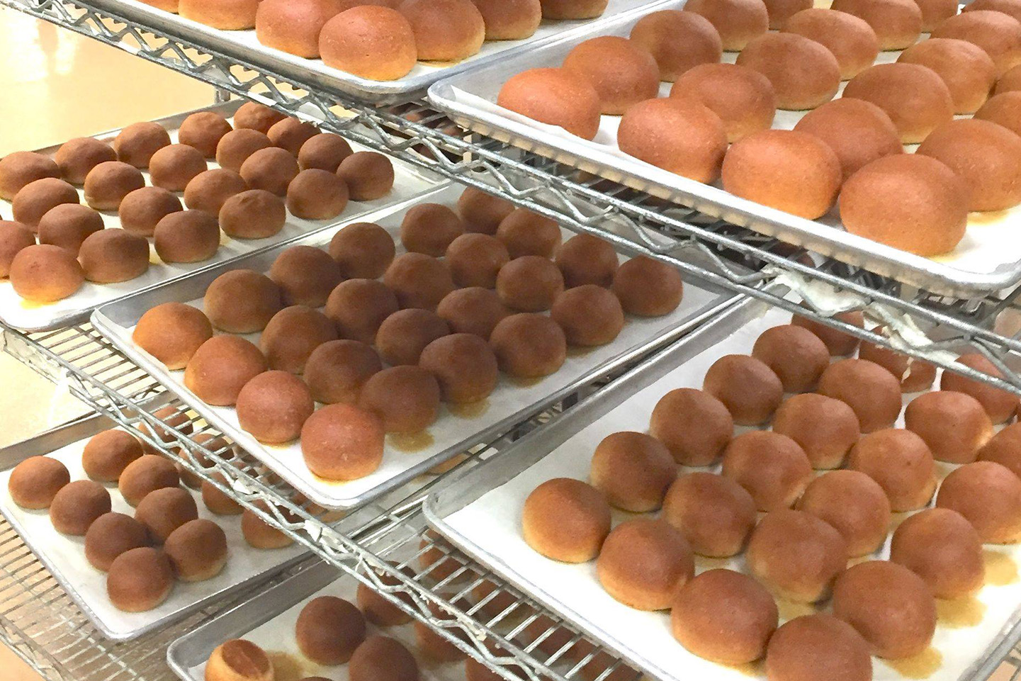 Healthy Meal Service for Children School Lunch Program Company Northern Illinois