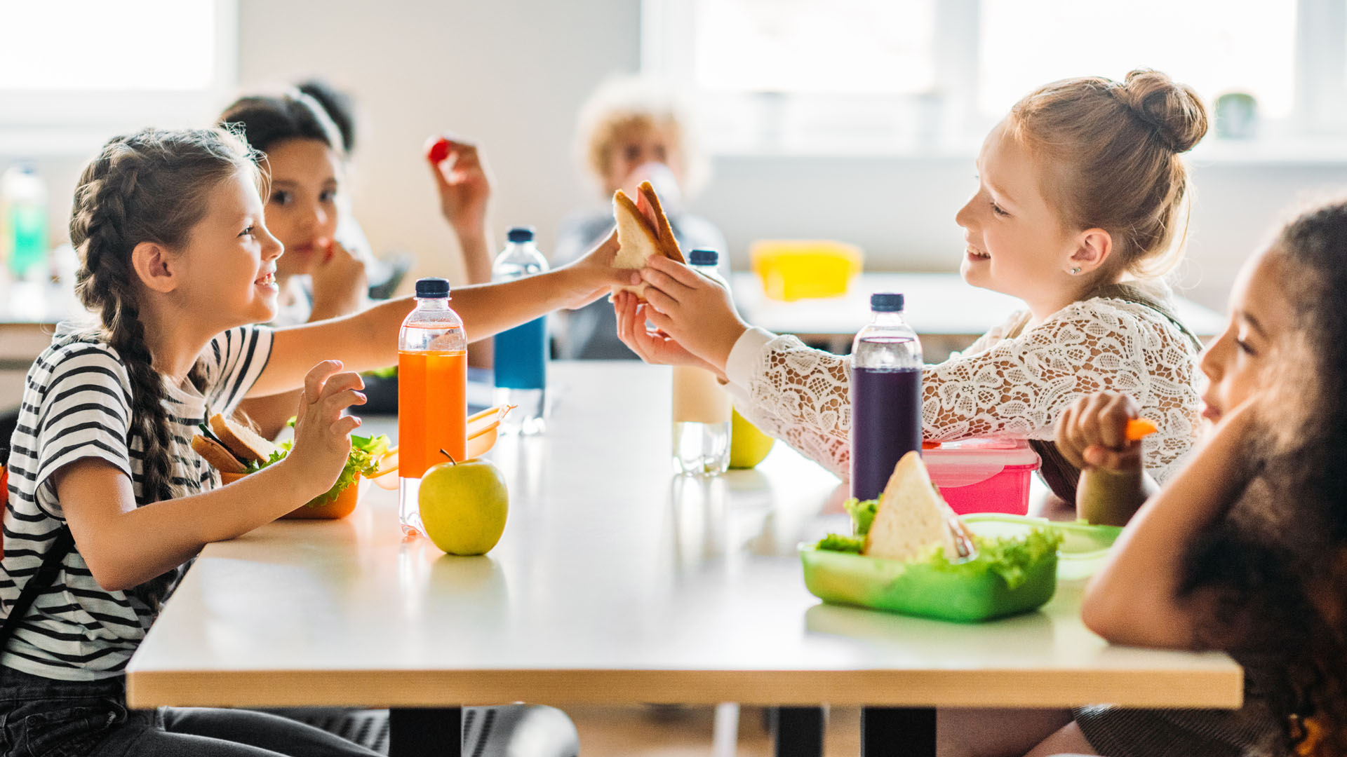 Kids Lunch Catering Company Gurnee