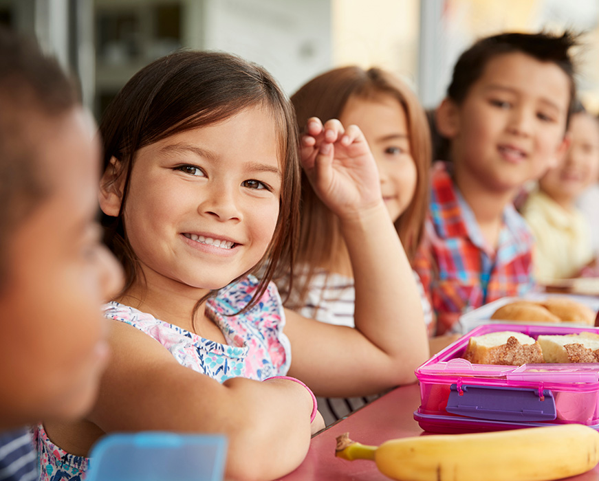 Northern Illinois Healthy Meal Service
